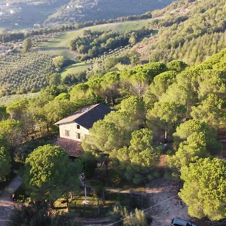 Il Cantico Delle Cicale Agroturismo *