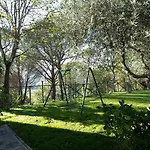 Il Cantico Delle Cicale