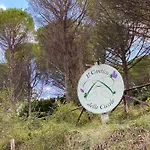 Il Cantico Delle Cicale