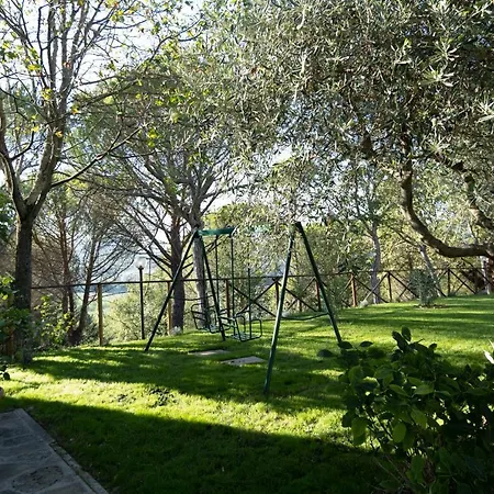 Il Cantico Delle Cicale