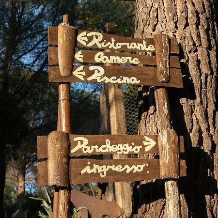 Il Cantico Delle Cicale *