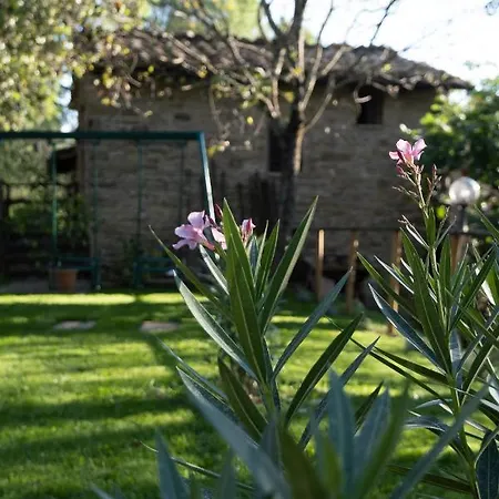 Il Cantico Delle Cicale Farm stay *