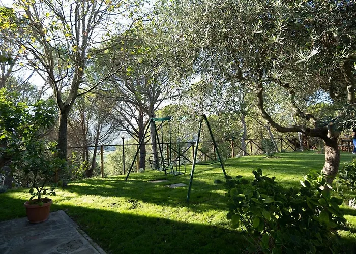 Il Cantico Delle Cicale