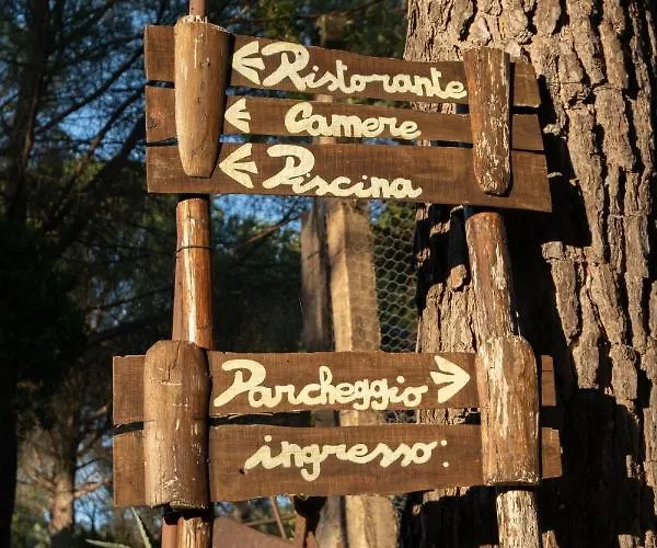 Il Cantico Delle Cicale *