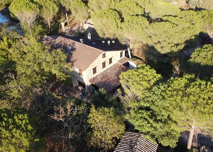 Il Cantico Delle Cicale *