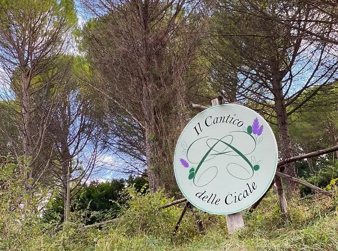 Il Cantico Delle Cicale