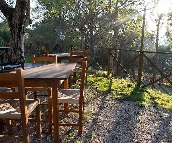 Il Cantico Delle Cicale Farm stay