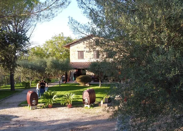 Il Cantico Delle Cicale Piccione